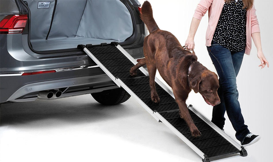 Hund verlässt den Kofferraum eines Autos mit Hilfe einer Hunderampe.