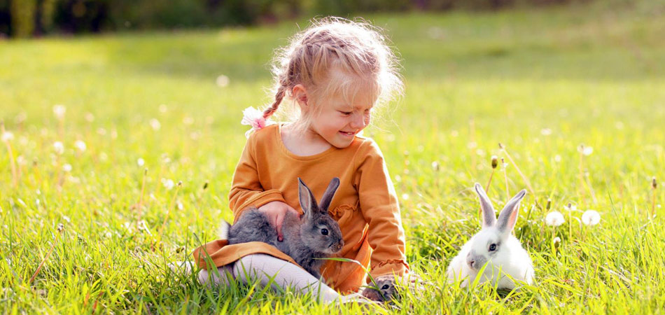 Ein kleines Mädchen sitzt mit drei Kaninchen auf einer Wiese