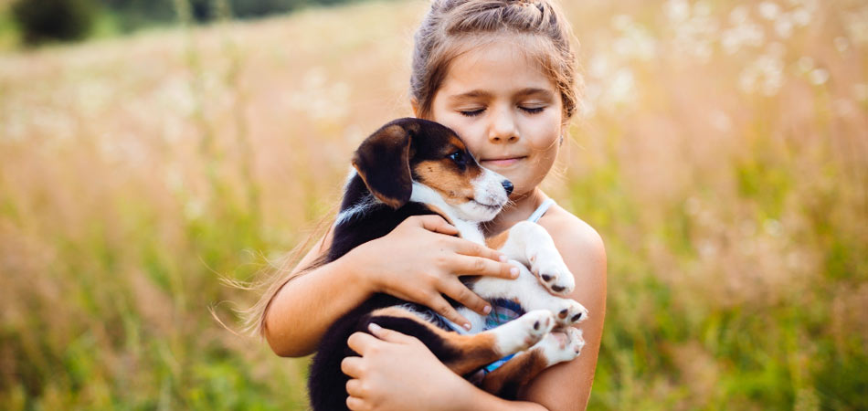 Ein glückliches Mädchen hält einen Hundewelpen auf dem Arm.